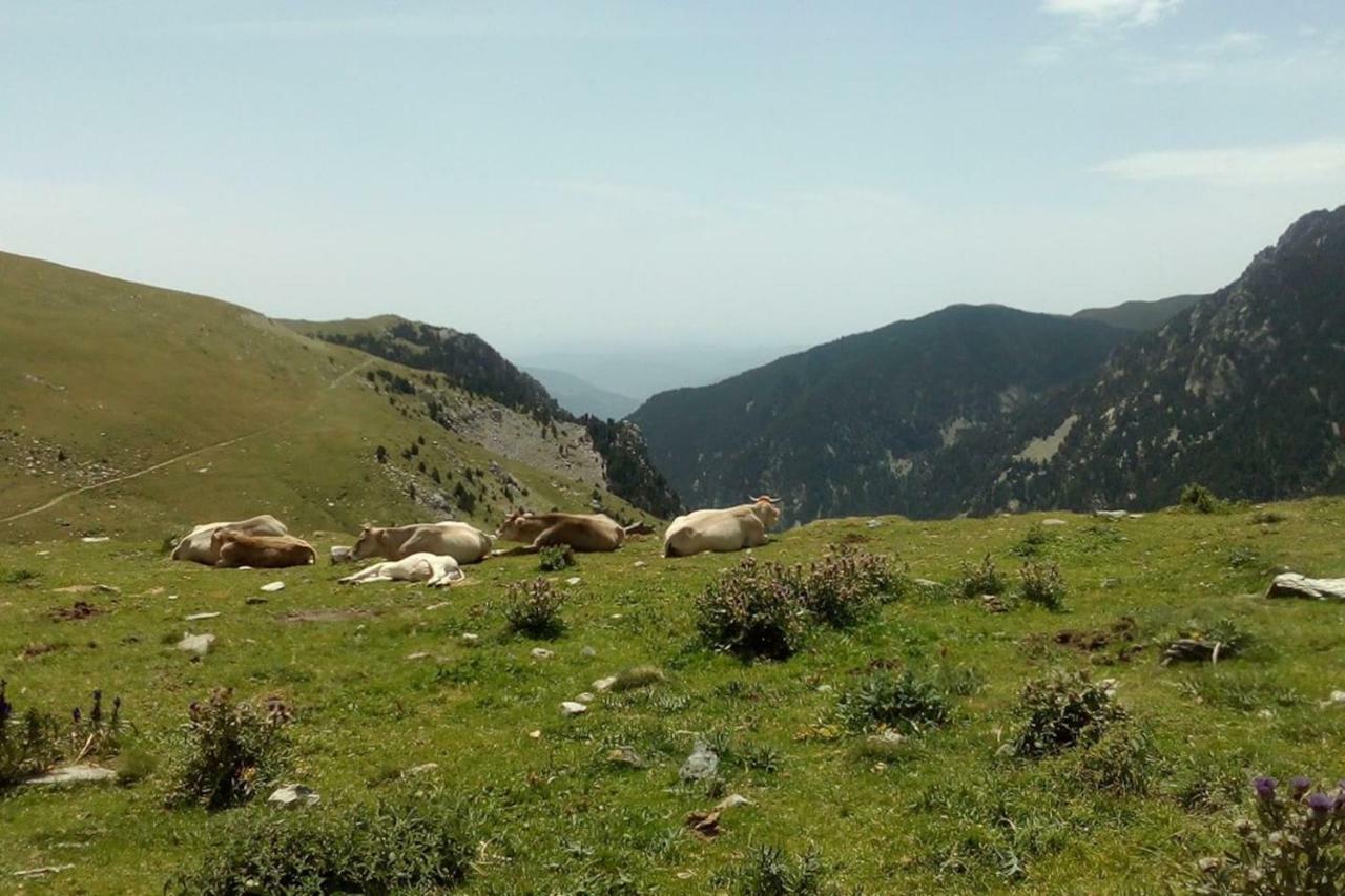 Holiday home Ca L'andreu